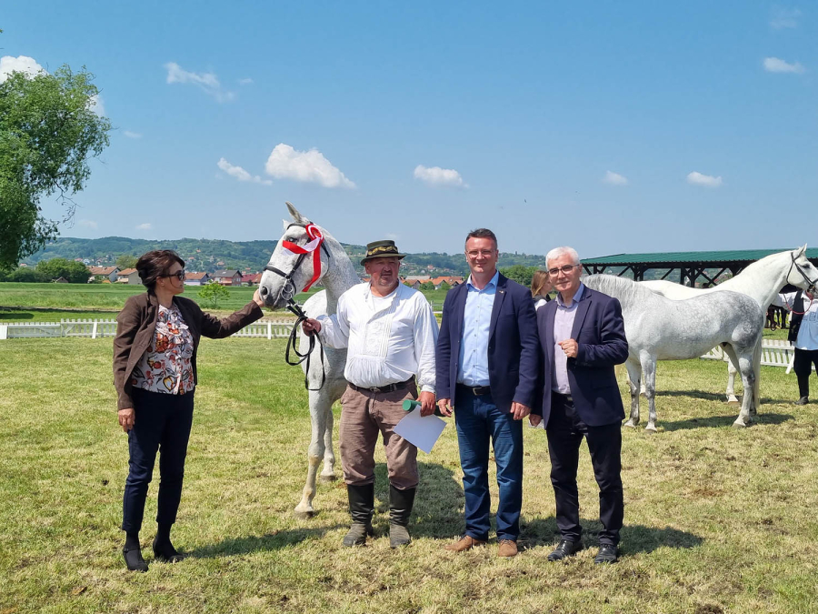Održana 2. Nacionalna izložba konja lipicanaca